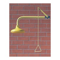 DUCHE HORIZONTAL C/CHUVEIRO ABS 1110